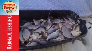 Я В ШОКЕ ОТ ЭТОЙ СНАСТИ. КОРОМЫСЛО  !!! ПОЛНЫЕ САНИ РЫБЫ!! Я СТОЛЬКО ЕЩЕ НЕ ЛОВИЛ!