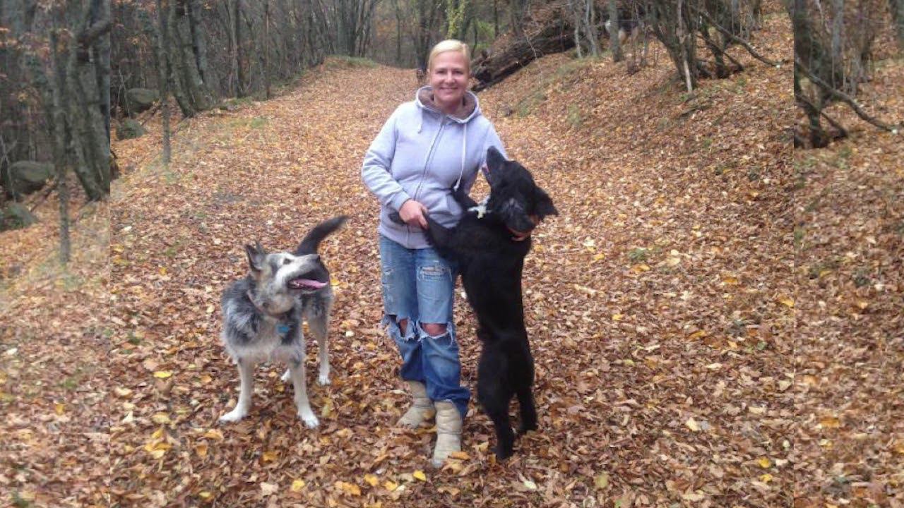 13 11 19 Гость студии Президент общественной организации по защите животных Ковчег Анна Сергеева