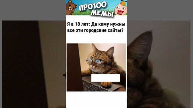 Мемы и приколы с озвучкой #мемы #коты #приколы #shorts #угар #мемыпро100 #коты