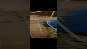 Птица,Куры,Бройлеры.Удобная уборка помета.Мечта