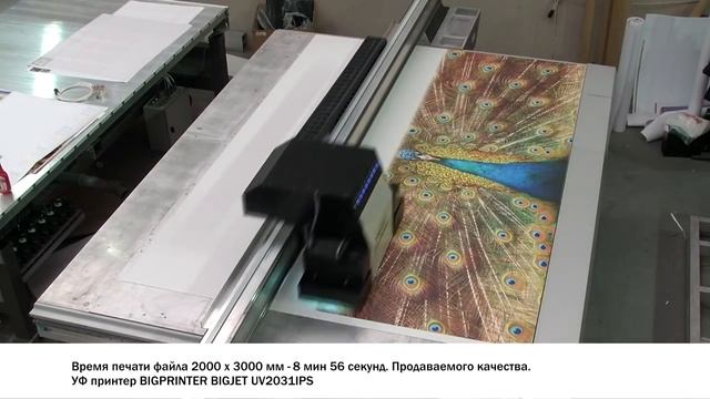 Printing on UV BIGPRINTER BIGJET 2031IPS/ УФ печать на BIGPRINTER BIGJET 2031IPS