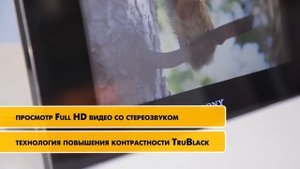 Фоторамка Sony DPF-XR100 - М.Видео ТВ