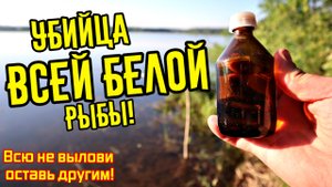 Браконьеры пользуются этим аптечным средством чтобы привлечь рыбу в сеть. Берите на заметку.