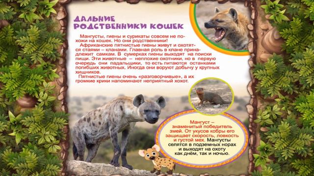 Кто Такие Хищники. Самая Первая Энциклопедия.
