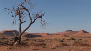 Золотой глобус: Намибия / Golden Globe: Namibia