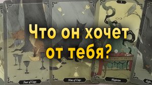 Его разрывает! Что он хочет от тебя? Таро Гадание Онлайн