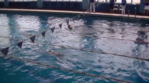 200 комплекс девочки сильнейший заплыв