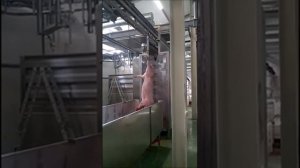 Мойка бичевая / Whip washer