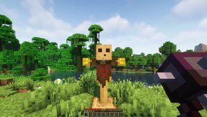 This Mod Series adds RPG Classes to Minecraft
