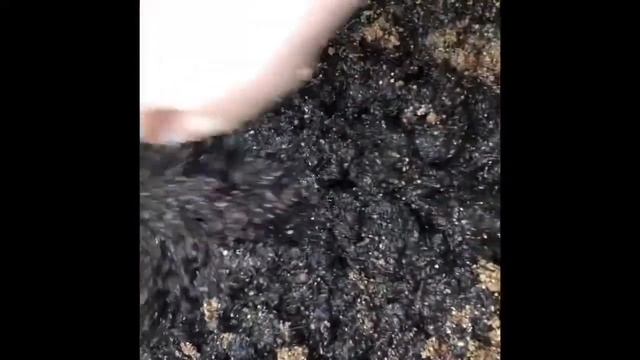 Подготовка роз из коробки к посадке в горшок смотреть онлайн