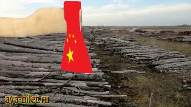 Китайцы превратить Сибирь в пустыню. смотреть онлайн