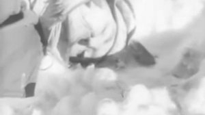 Союзкиножурнал 1943 № 10