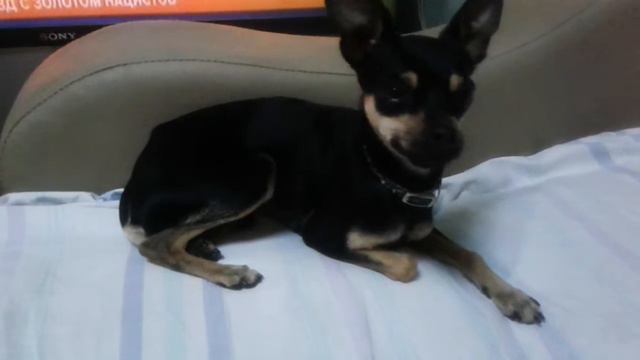 Не гуляла лет так 5 смотреть онлайн