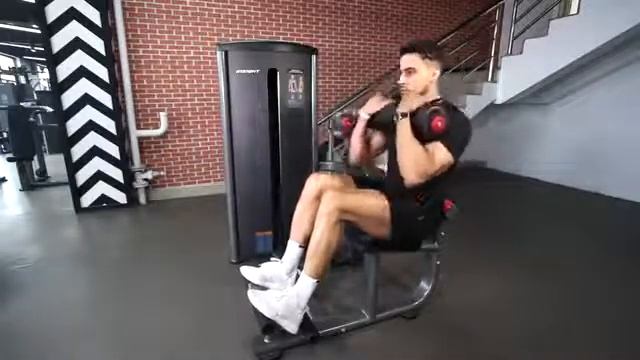 Пресс-машина/разгибание спины Insight Fithess BS013 смотреть онлайн