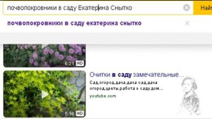 СЕДУМ ИЛИ ОЧИТОК ПОЧВОПОКРОВНОЕ РАСТЕНИЕ. КАКОЙ ВИД ВЫБРАТЬ!?