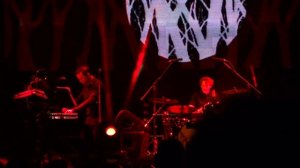 Дельфин - Звезда