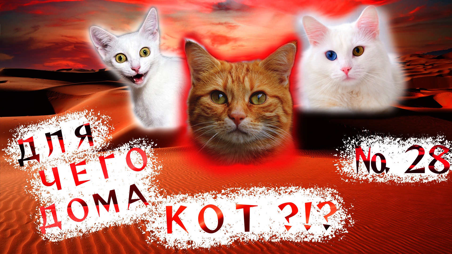 Вот зачем дома НУЖЕН КОТ!!! ?(28). смотреть онлайн