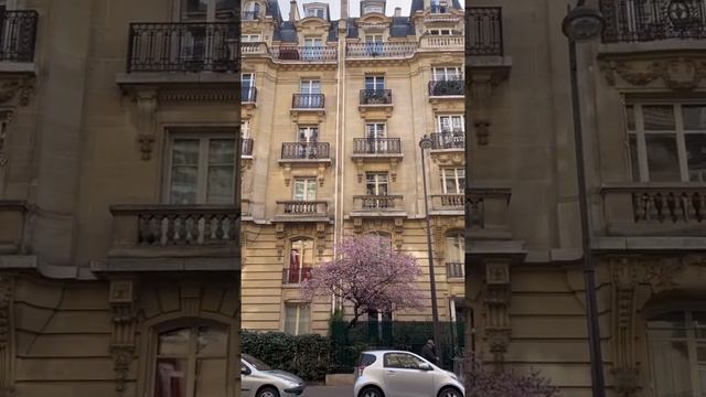 Walk in Paris | Spring 2021 | Прогулка по Парижу #shorts