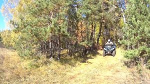 CFMOTO X8  VS  CFMOTO TRACKER 800 | Сравнение двух квадроциклов по лесу !