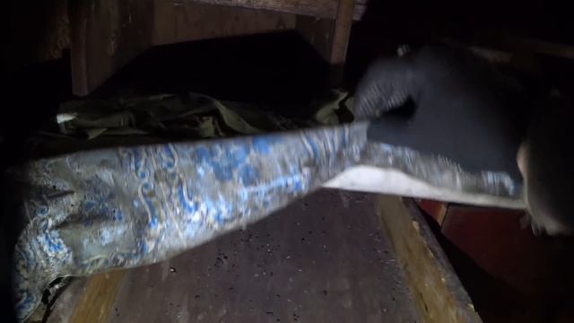 Нашли ТАЙНЫЙ ПОДВАЛ в СТАРОМ САРАЕ! Находки с ЧЕРДАКА и ПОДВАЛА были НЕОЖИДАННЫЕ! смотреть онлайн