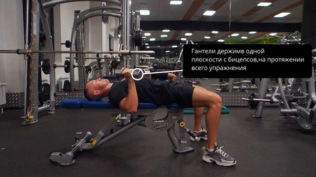 жим гантелей лежа смотреть онлайн