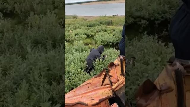 Сплочение волонтёров — ключ к преодолению преград!