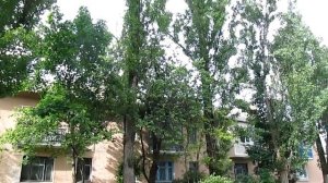 БЕЛАЯ ЦЕРКОВЬ ОТ СТАРЫХ ДОМОВ АРЗ ДО КРЫТОГО РЫНКА
