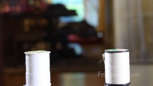 Feisty Films Episode 4: The Feisty Pets Attack