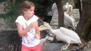 У тебя не получится не засмеяться. Часть 2