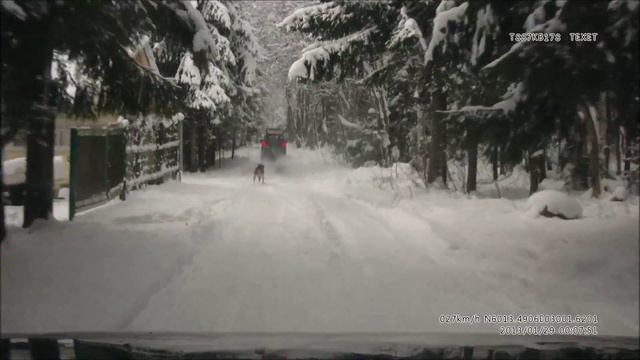 Сбивай её. Пёс бежит за ватрушкой с человеком. смотреть онлайн