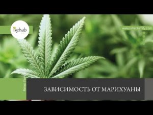 Марихуана | Действие на организм | Признаки | Стадии | Диагностика | Лечение
