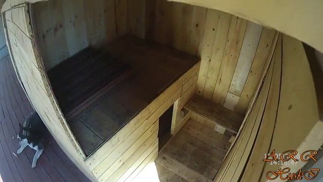 хаски в вольере смотреть онлайн