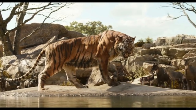 Я дебил а не Шерхан Угрожает расправой смотреть онлайн