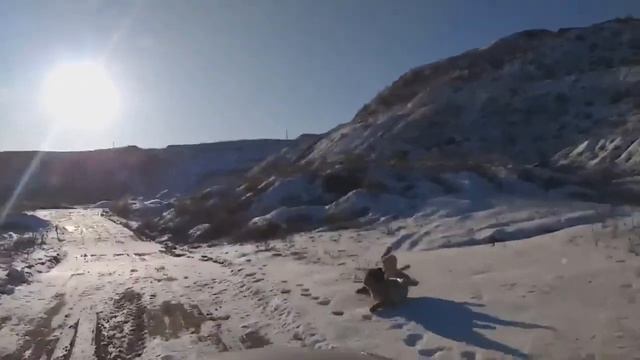 Композиция Одинокий пастух в исполнении Ольги Похилюк на флейте смотреть онлайн