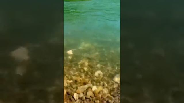 (Небольшой) Водоворот на речке