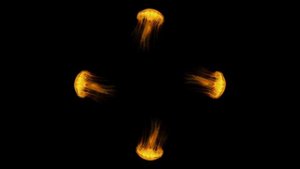 Голограмма Море