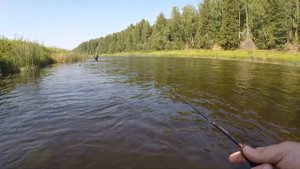 ГОЛАВЛЬ наказывает! Рыбалка на ГОЛАВЛЯ летом!