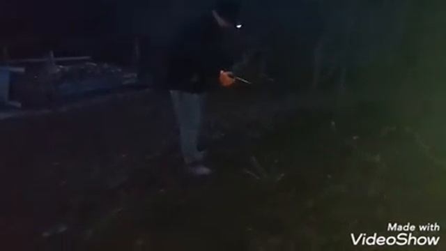 Пересаживаем малину и чайную розу. Укрываем листьями виноград и деревья. смотреть онлайн