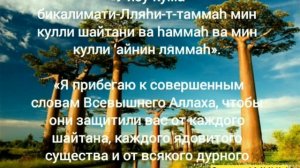 Ду'а (молитва) за детей. Эту ду'а пророк Мухаммад и пророк Ибрахим делали за своих детей и внуков.