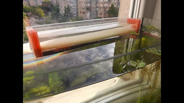 нано мини фитофильтр для аквариума на окне смотреть онлайн