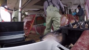 Setting Crab Pots & Eider Duck With Rice Gravy For A Hungry Crew