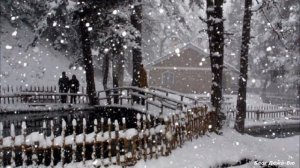 "Снежинка" - Любовь Шепилова и Сергей Дубровин.