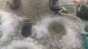 Река майха ловиться всё