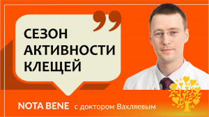 Клещи. Как защититься и что делать, если обнаружил на себе клеща?