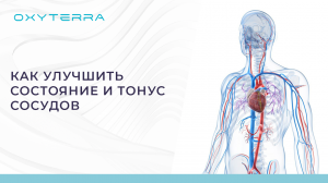КАК УЛУЧШИТЬ СОСТОЯНИЕ И ТОНУС СОСУДОВ