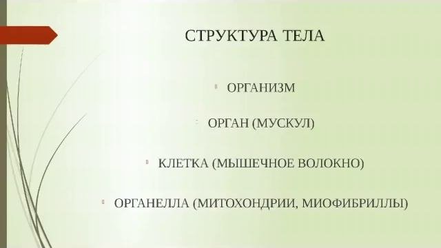 Умный Атлетизм \ Организм-орган-клетка-органелла - часть 2.1