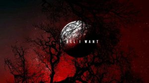 Sarah Blasko - All I Want ( Beny Remix ) Music