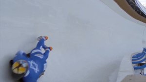 В чем отличия между бобслеем и санным спортом? Что такое скелетон?