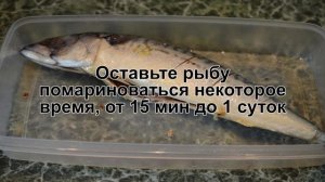 КАК ПОЖАРИТЬ СКУМБРИЮ? Ароматная запеченная скумбрия на решетке / Рыба на мангале на углях