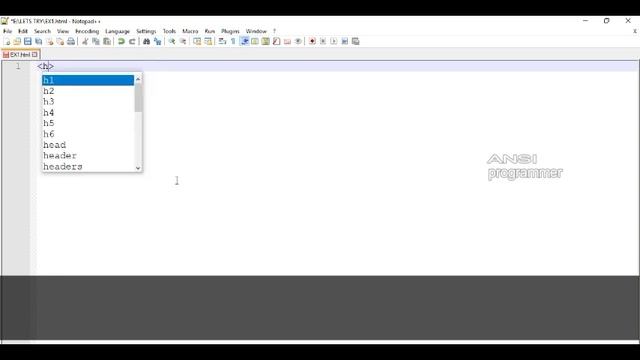 Dot Net Web development | Start with HTML program | intro in html | Ansi Programmer..